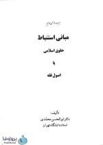 دانلود کتاب مبانی استنباط حقوق اسلامی (اصول فقه) دکتر ابوالحسن محمدی pdf-1