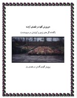 دانلود پروژه کارآفرینی پرورش گلهای زینتی با 49 صفحه word-1