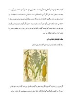 دانلود مقاله تک لپه ای ها و دو لپه ای ها با 18 صفحه WORD برای رشته فیزیک-1