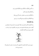 دانلود مقاله تک لپه ای ها و دو لپه ای ها با 18 صفحه WORD برای رشته فیزیک-1