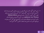 دانلود پروژه پاورپوینت بیماری های هلو با 41 اسلاید برای رشته کشاورزی-1