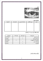 دانلود پروژه کارآفرینی طرح طلا و جواهر سازی با 12 صفحه word-1