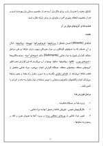 دانلود مقاله آنزیم با 20 صفحه Word برای رشته صنایع غذایی-1