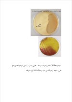 دانلود مقاله مسمومیت غذایی با 18 صفحه Word برای رشته صنایع غذایی-1