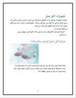 دانلود گزارش کارآموزی شرکت احیا درمان پیشرفته با 169 صفحه pdf-1