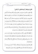 دانلود مقاله پرواز بدون موتور با 40 صفحه Word برای رشته مکانیک-1