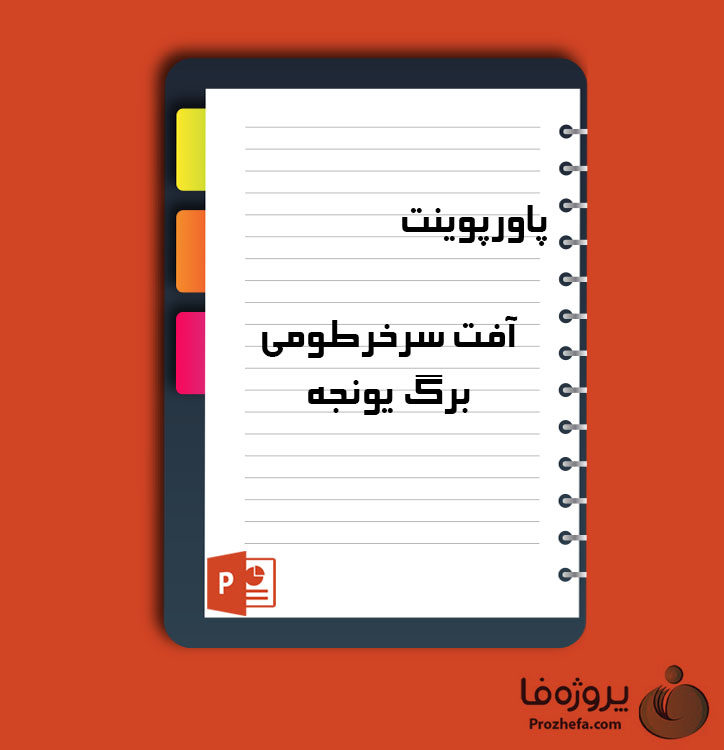 دانلود پروژه پاورپوینت آفت سرخرطومی برگ یونجه با 21 اسلاید برای رشته کشاورزی