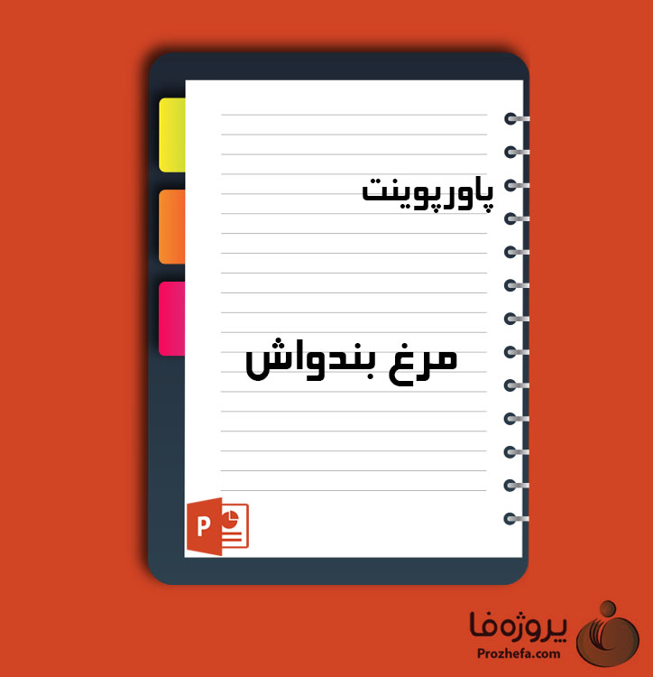 دانلود پروژه پاورپوینت مرغ بندواش با 54 اسلاید برای رشته کشاورزی