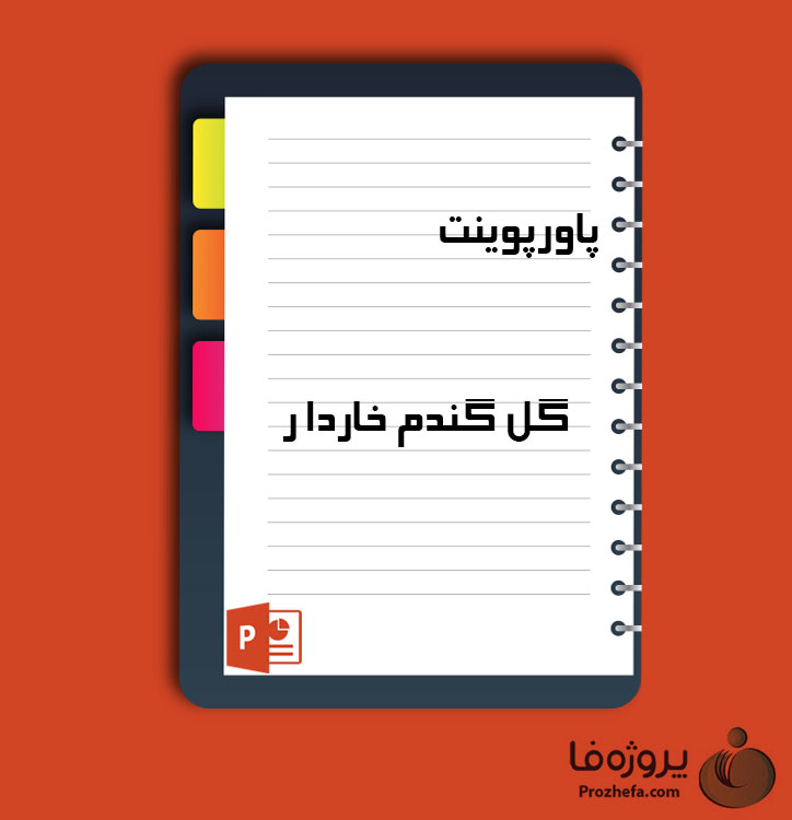 دانلود پروژه پاورپوینت گل گندم خاردار با 23 اسلاید برای رشته کشاورزی